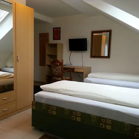 Am Kamin - Modern - Free Wifi - Parking Otel 2*